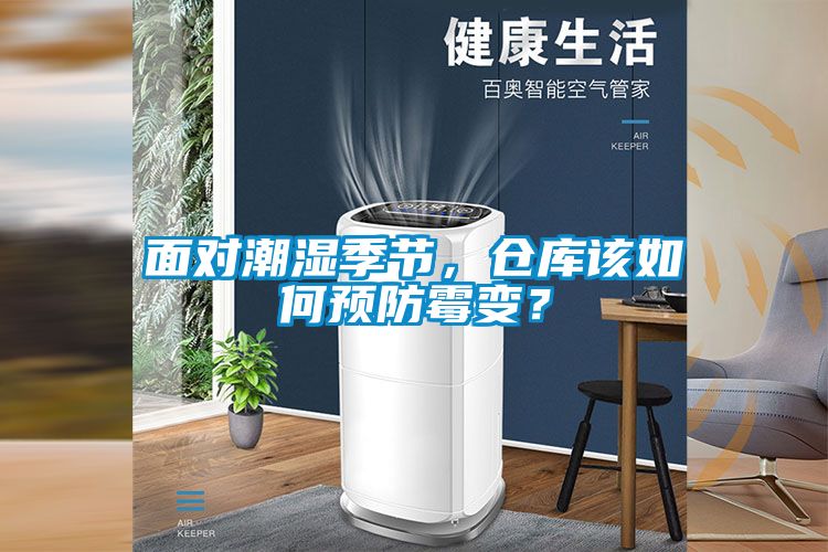 面對潮濕季節，倉庫該如何預防霉變？