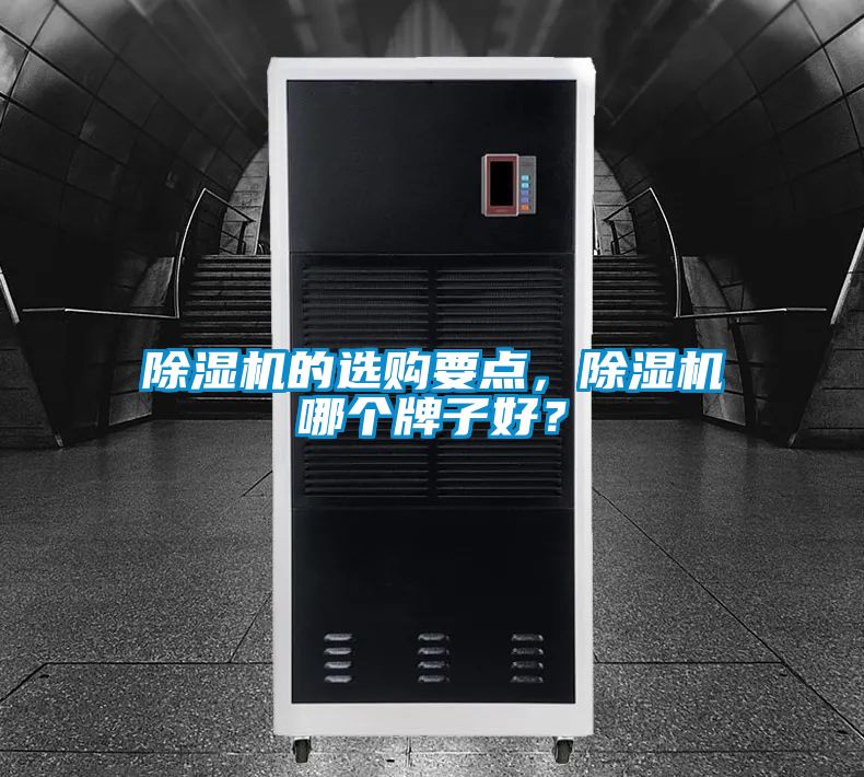 除濕機(jī)的選購要點(diǎn)，除濕機(jī)哪個牌子好？