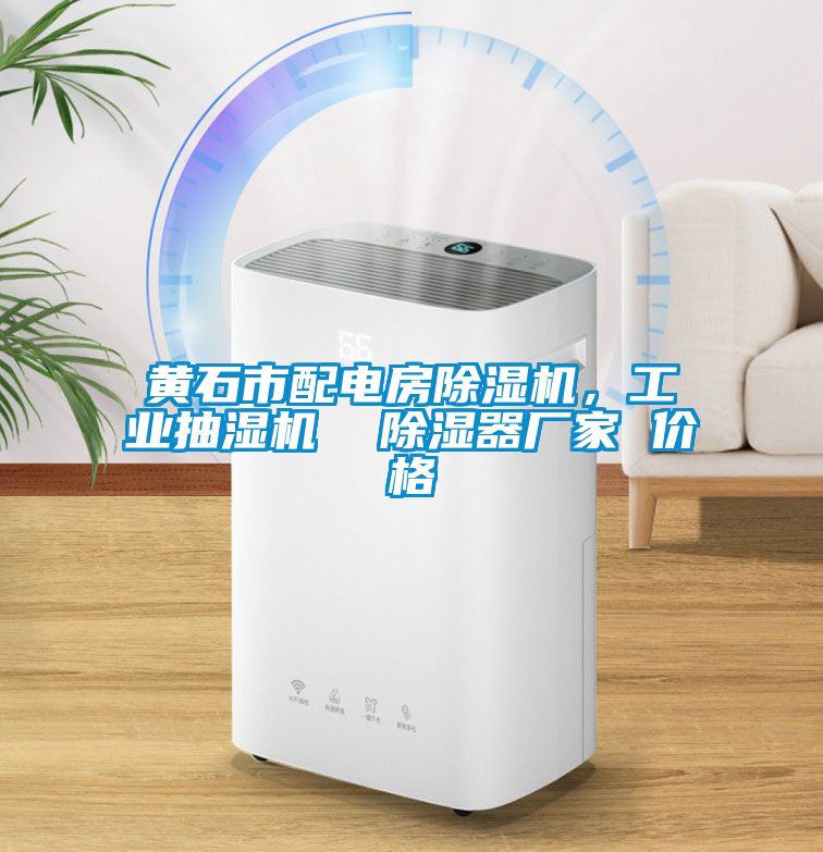 黃石市配電房除濕機，工業抽濕機  除濕器廠家 價格