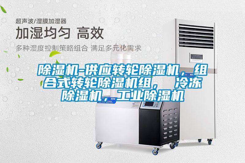 除濕機-供應轉(zhuǎn)輪除濕機，組合式轉(zhuǎn)輪除濕機組， 冷凍除濕機，工業(yè)除濕機