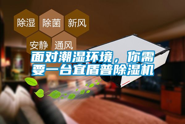 面對潮濕環境，你需要一臺宜盾普除濕機