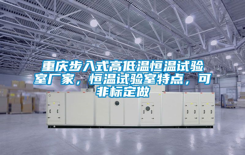 重慶步入式高低溫恒溫試驗(yàn)室廠家，恒溫試驗(yàn)室特點(diǎn)，可非標(biāo)定做