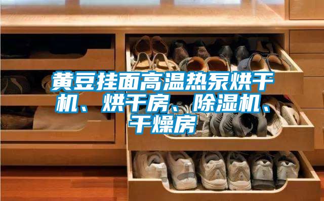 黃豆掛面高溫熱泵烘干機、烘干房、除濕機、干燥房