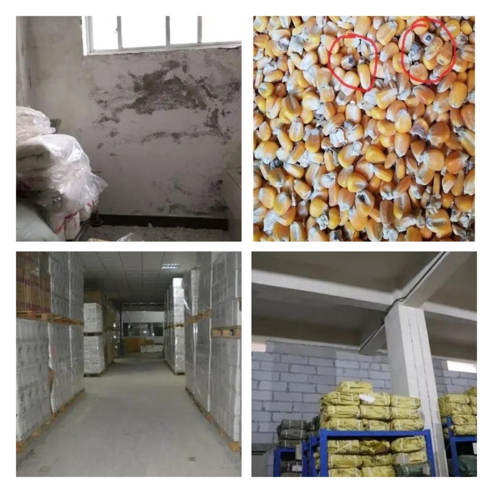 稿定設(shè)計導(dǎo)出-20211214-141923 稿定設(shè)計導(dǎo)出-20211214-141923